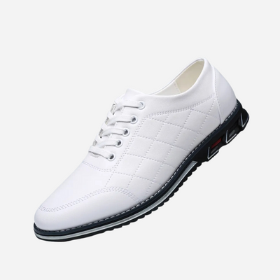 Roland | ELEGANT AND COMFORTABLE SHOES FOR MEN