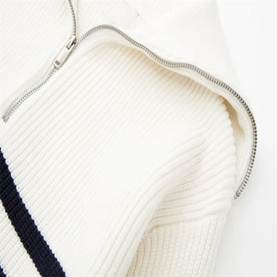 Fidel | Striped Zip-Up Sweater